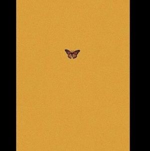 Meet your Posher, Lily